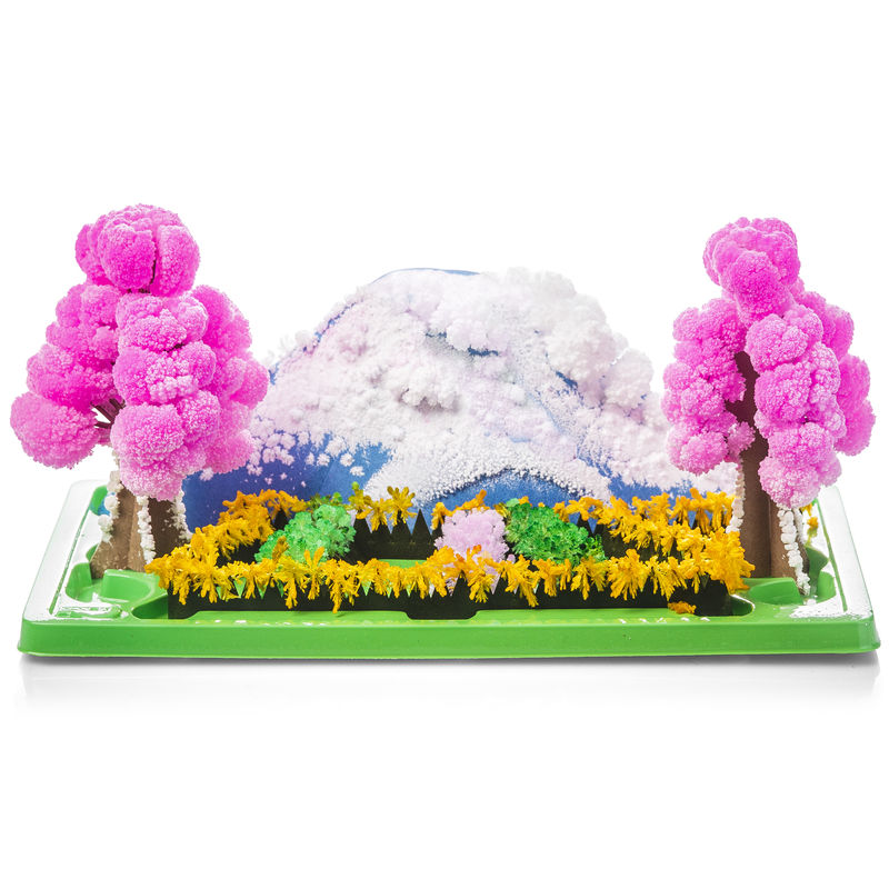 Magic Growing Garden - Park Day Fun