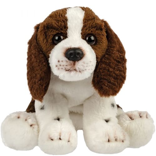 Springer spaniel - Cozy Plush Pick